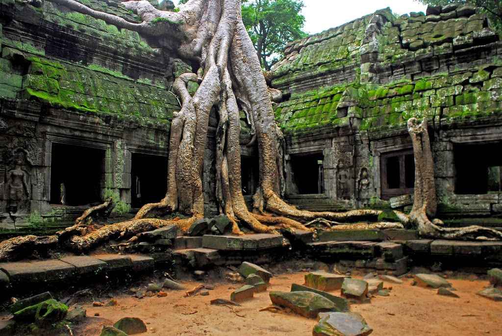 Ta Prohm : le temple mystérieux au cœur de la jungle d’Angkor